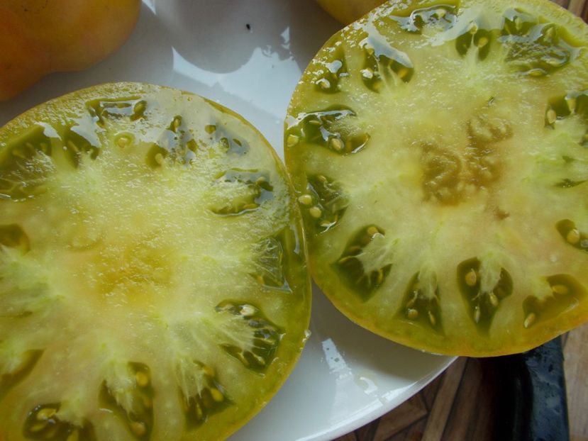  - SEMINTE ROSII - T 445 CHARLIE ST GREEN