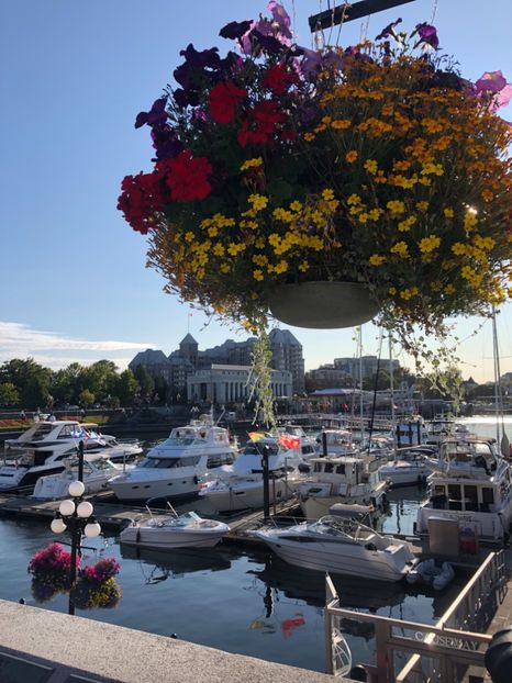 Victoria City 14.08.2019 - CANADA august 2019