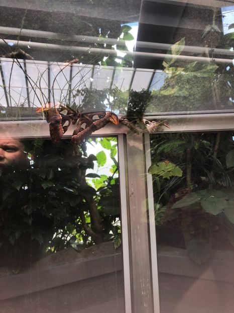 15 aug. Butterfly Garden - CANADA august 2019