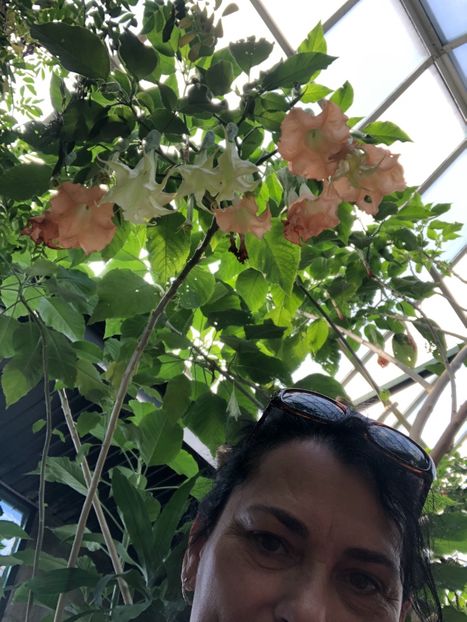 15 aug. Butterfly Garden - CANADA august 2019