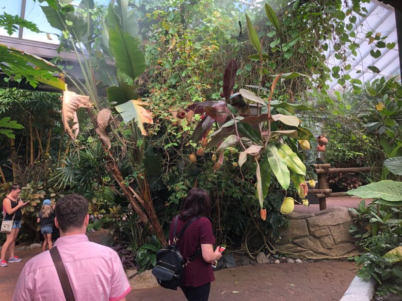15 aug. Butterfly Garden - CANADA august 2019