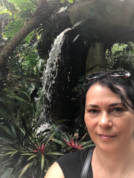 15 aug. Butterfly Garden - CANADA august 2019