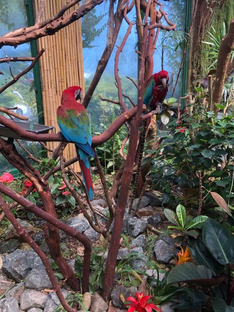15 aug. Butterfly Garden - CANADA august 2019