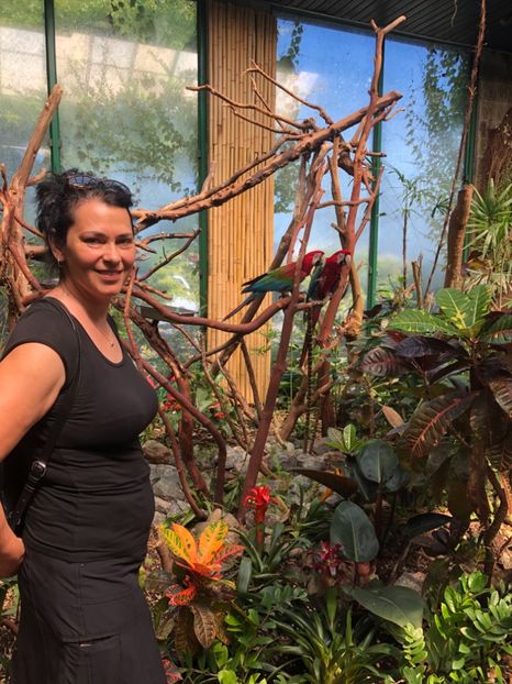 15 aug. Butterfly Garden - CANADA august 2019