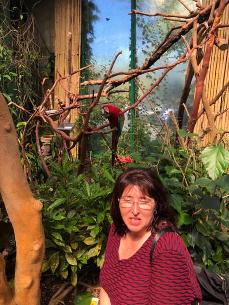 15 aug. Butterfly Garden - CANADA august 2019