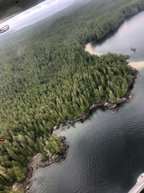 16 aug. Tofino AIR - CANADA august 2019