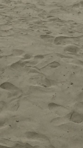 Long Beach Tofino 16 aug - CANADA august 2019