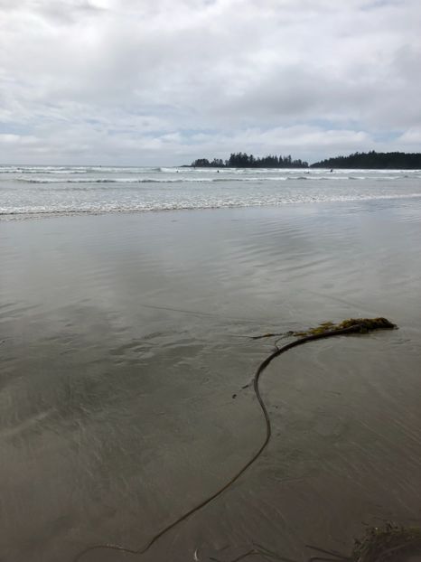 16aug. Plaja surferilor. Long Beach - CANADA august 2019
