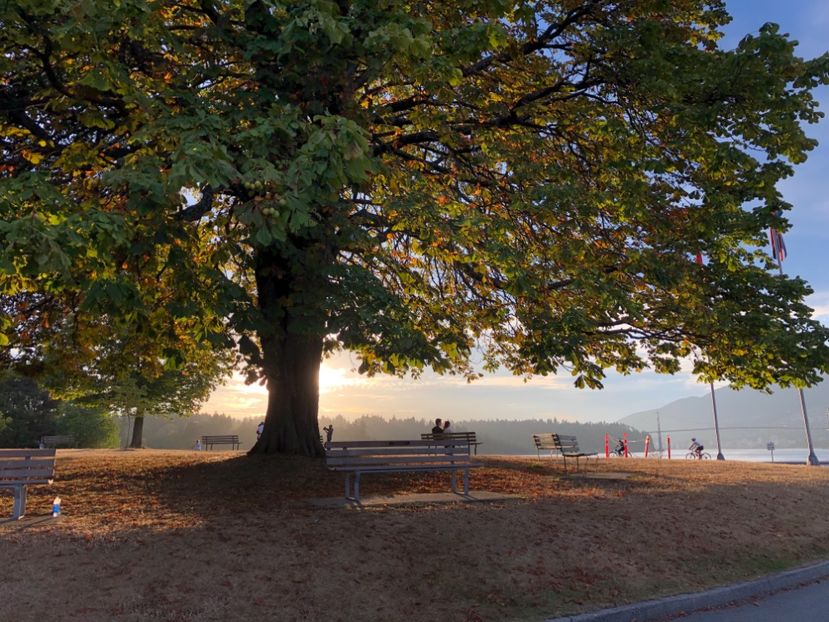 20 aug Stanley Park - CANADA august 2019