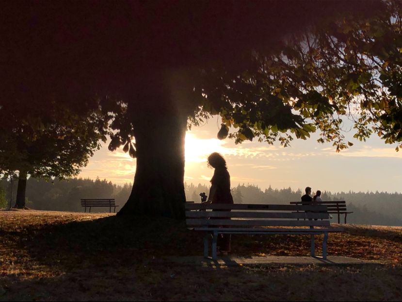 20 aug Stanley Park - CANADA august 2019