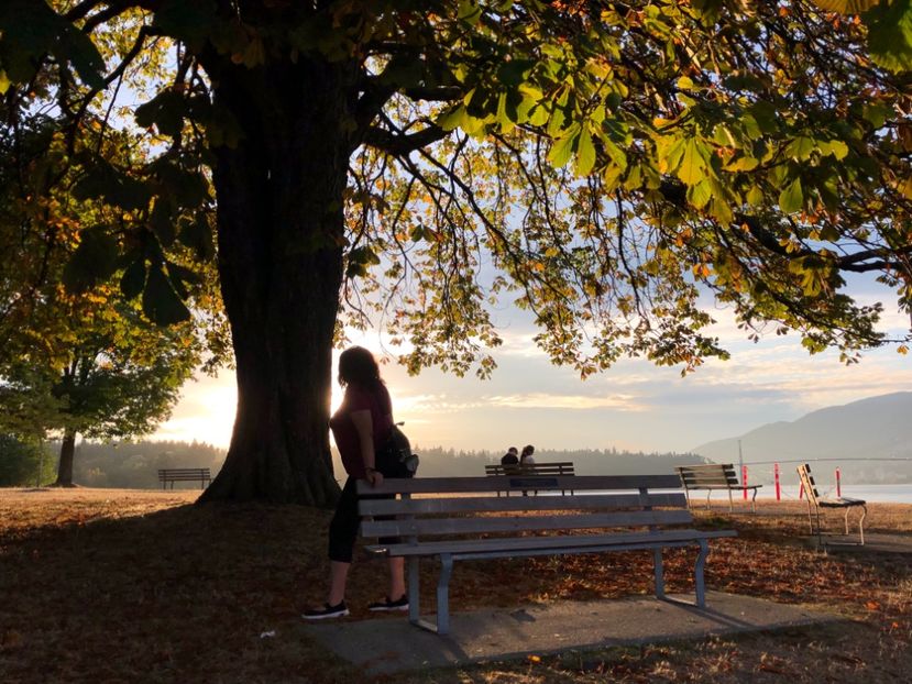 20 aug Stanley Park - CANADA august 2019