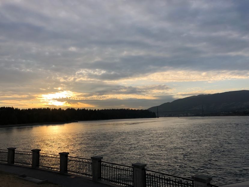 20 aug Stanley Park APUS DE SOARE - CANADA august 2019