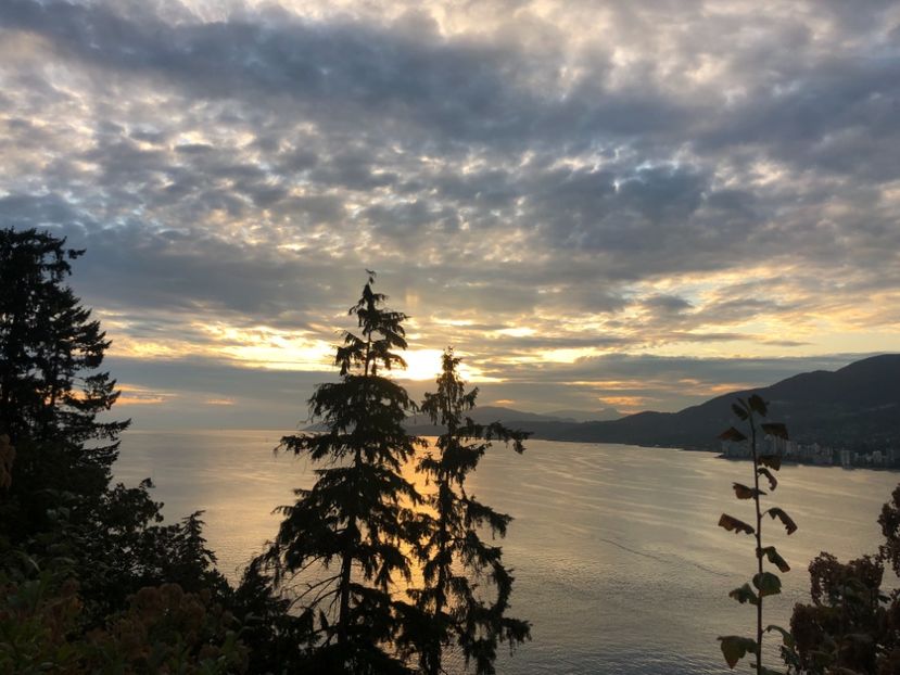 20 aug Stanley Park APUS DE SOARE - CANADA august 2019