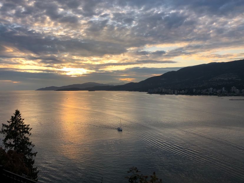 20 aug Stanley Park APUS DE SOARE - CANADA august 2019