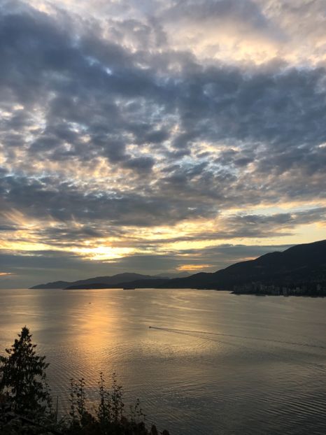 20 aug Stanley Park APUS DE SOARE - CANADA august 2019