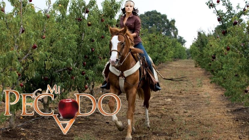 Mi pecado - Mi pecado