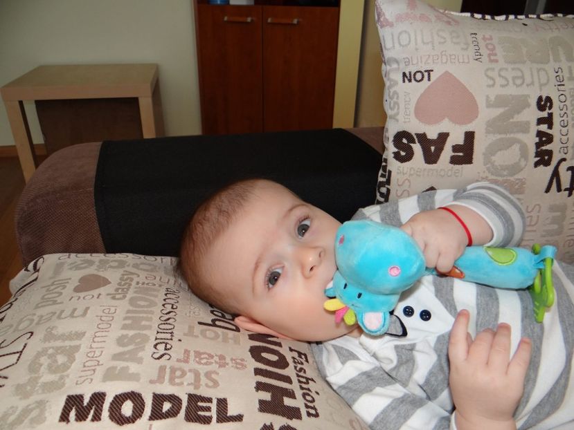 10863807_10203751352651523_1758910214239981429_o - Sebi