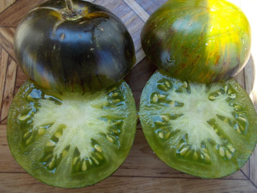  - SEMINTE ROSII - T 353 XANADU GREEN GODDESS