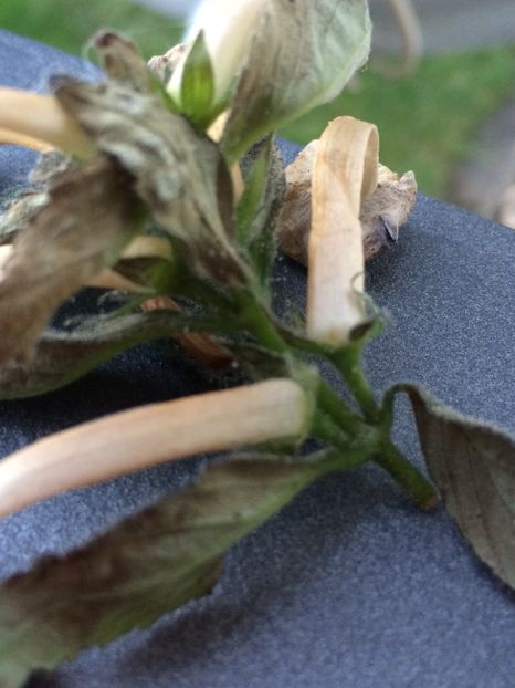 31.08.2019 - Probleme