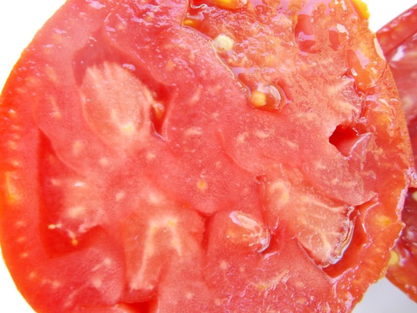  - SEMINTE ROSII - T 354 OSU BLONDE AVEC TETONS