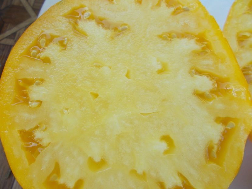  - SEMINTE ROSII - T 395 YOUR MAJESTY - VASHE VELICHESTVO