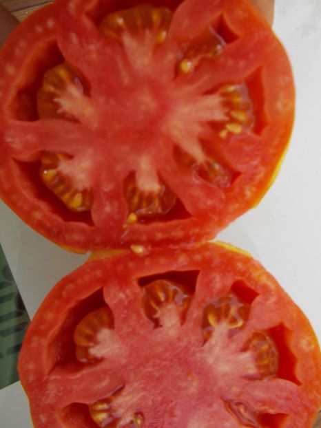  - SEMINTE ROSII - T 471 PEARSON