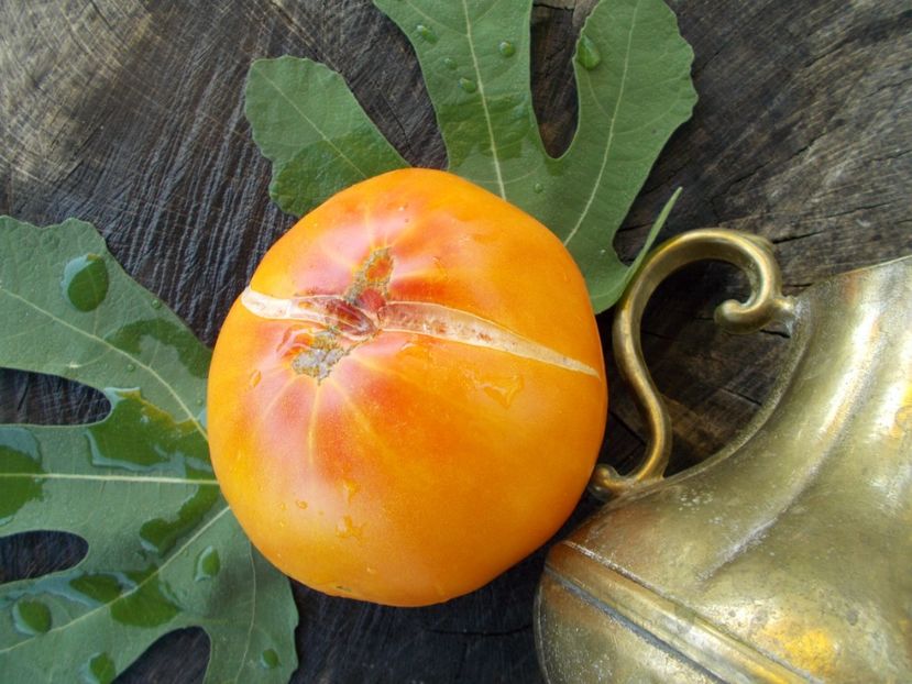  - SEMINTE ROSII - T 349 GIGANT LISCIO ?????