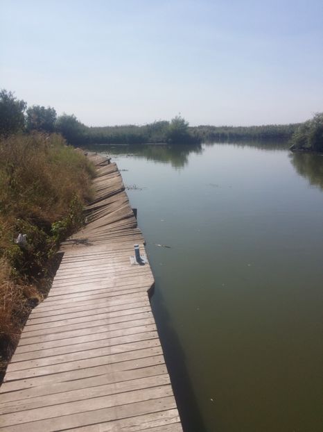 ponton...un pic stramb - Xxxxxx