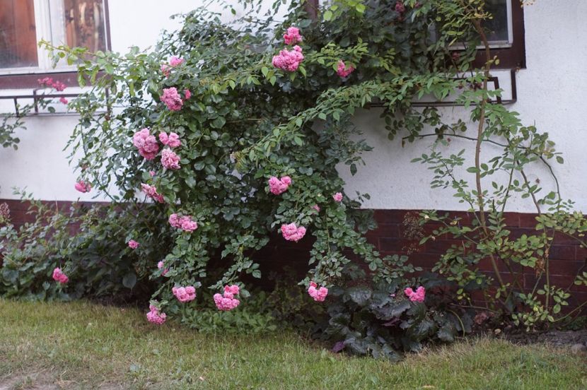  - August 2019- August 2020