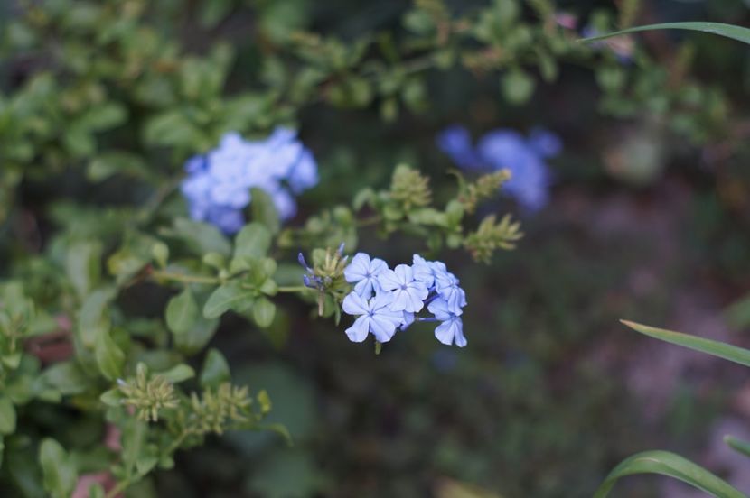  - August 2019- August 2020