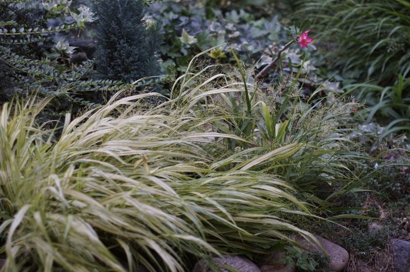  - August 2019- August 2020