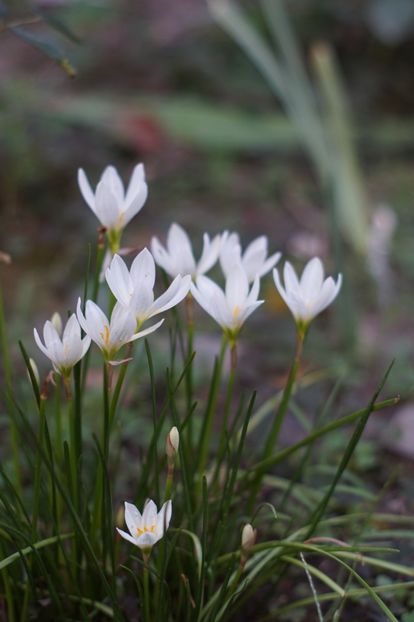  - August 2019- August 2020