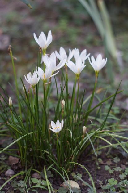  - August 2019- August 2020