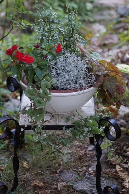  - August 2019- August 2020