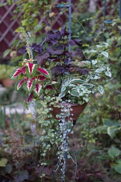  - August 2019- August 2020