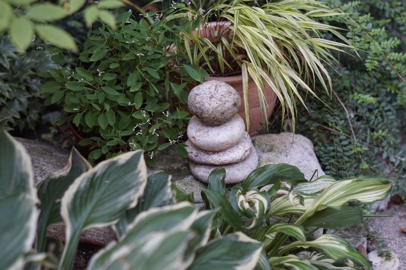  - August 2019- August 2020