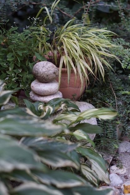  - August 2019- August 2020