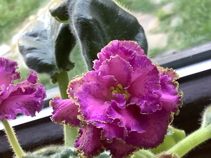 3AFBF32C-B46B-4F38-9421-2390A82A7462 - Georgia