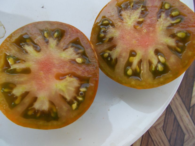  - SEMINTE ROSII - T 444 BLACK PRINCE