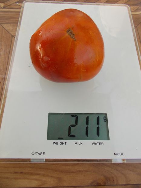  - SEMINTE ROSII - T 368 NUITS