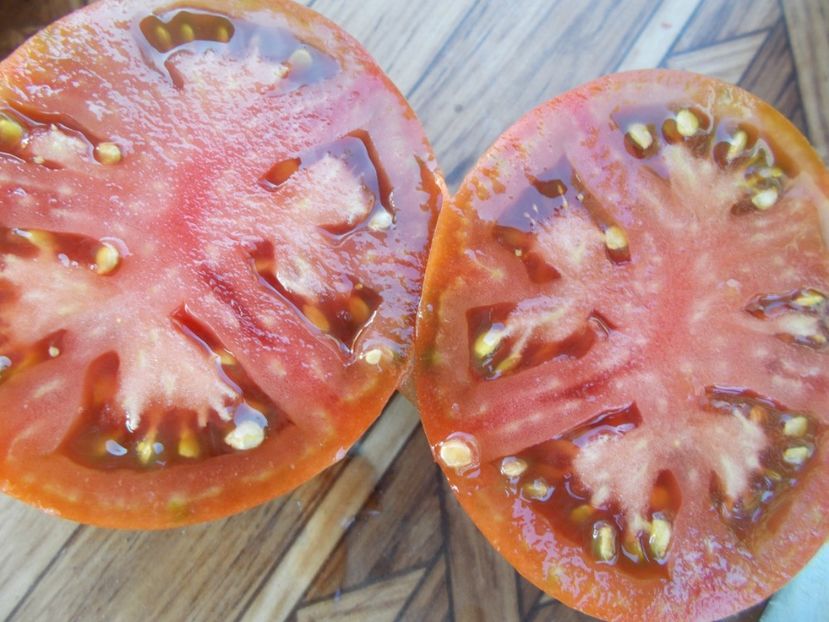  - SEMINTE ROSII - T 368 NUITS