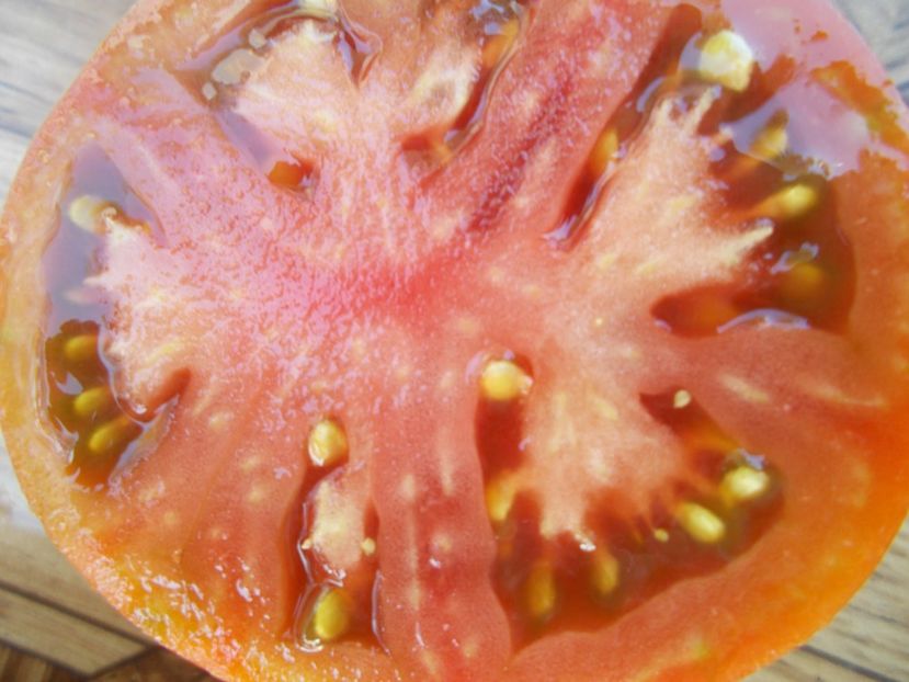  - SEMINTE ROSII - T 368 NUITS