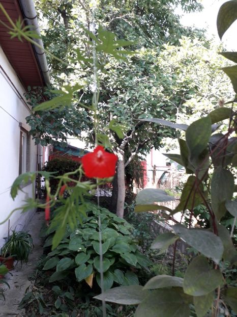  - 2019 -02 - vara