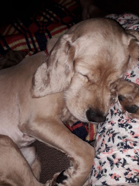  - Lucky-frumusetea noastra