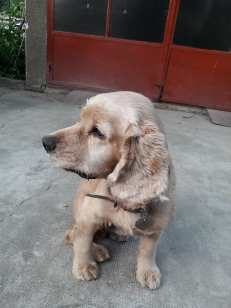  - Lucky-frumusetea noastra