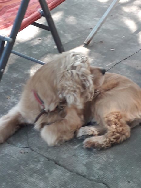  - Lucky-frumusetea noastra