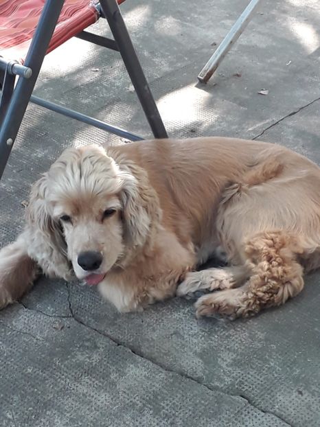  - Lucky-frumusetea noastra