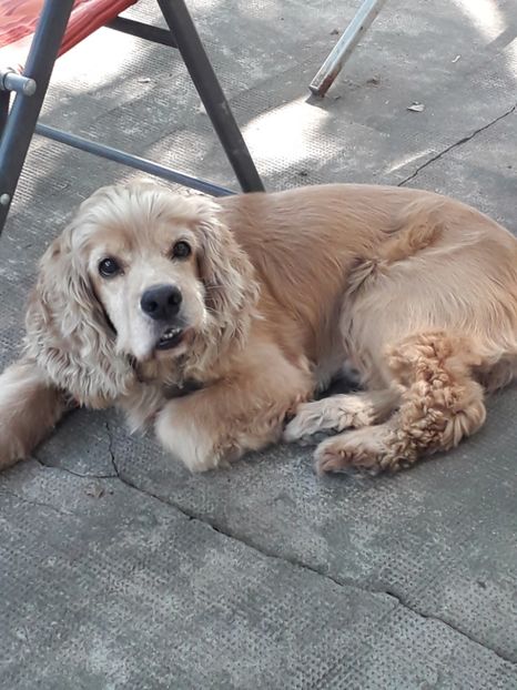  - Lucky-frumusetea noastra