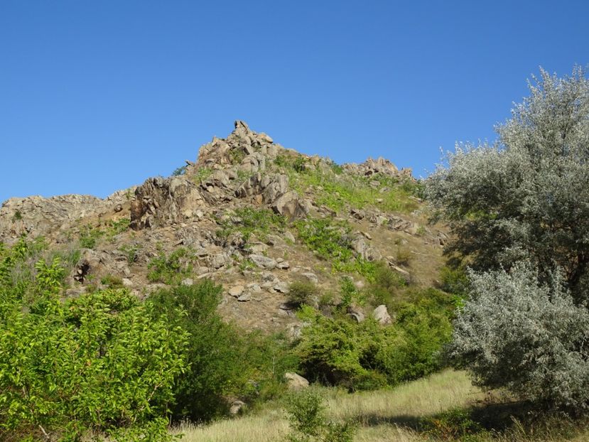  - Muntii Macin - Culmea Pricopanului