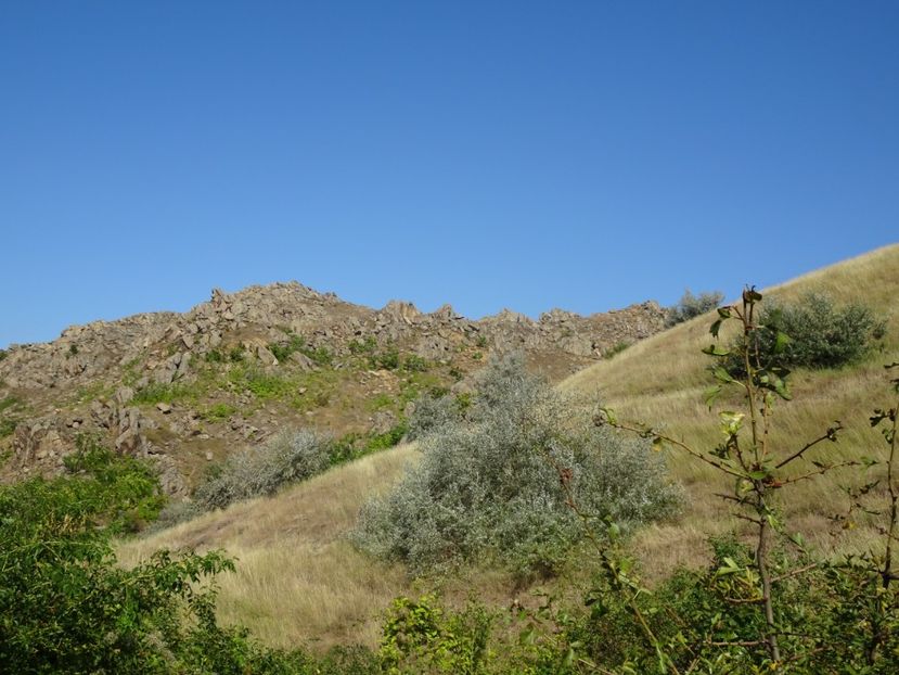  - Muntii Macin - Culmea Pricopanului